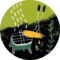 Illustration with barbecue, corn on the cob and barbecue tongs on a green and black background. | © SONNENTOR