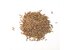 In the photo you can see cumin whole.
