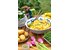 Wildkräutersalz_Rezept.jpg