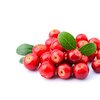Cranberry bio Cranberry bio