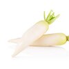 Rettichsamen bio Rettichsamen bio