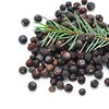 Wacholderbeeren bio Wacholderbeeren bio