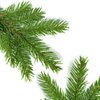 Douglasfichte ätherisches Öl bio Douglasfichte ätherisches Öl bio