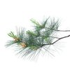 Zirbe ätherisches Öl bio Zirbe ätherisches Öl bio
