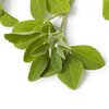 Pískavice řecké seno bio Pískavice řecké seno bio