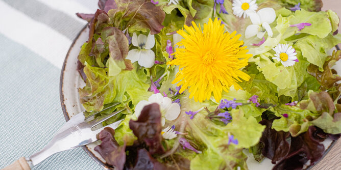 Essbare Kräuter Salat | © SONNENTOR Auf dem Foto ist Blattsalat mit Löwenzahnblüten, Gänseblümchen und weiteren Blüten zu sehen. | © SONNENTOR